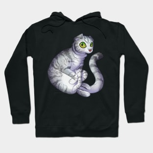 Cozy Scottish Fold Hoodie